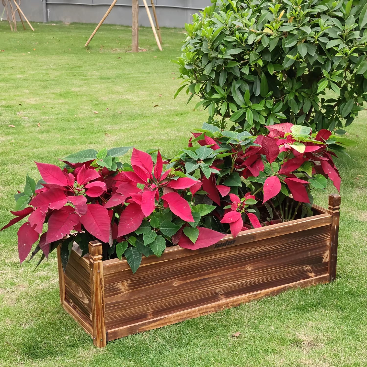 Raised Garden Bed Flower or Vegetable Planter Window Mounted Plant Box for Garden, Yard Wood Box for Planting